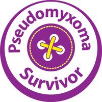 Pseudomyxoma Survivor: PMP and appendix cancer Information