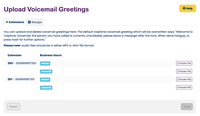 Custom Voicemail Greetings