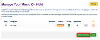 Deleting an audio file Deleting an audio file